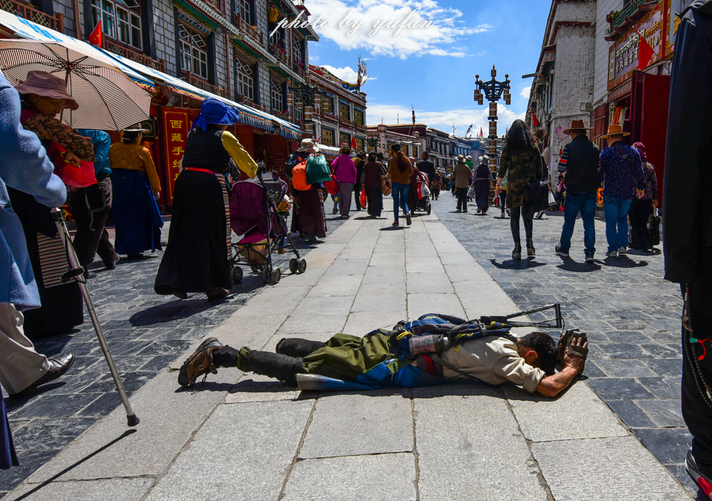 西藏有一条圣路,许多虔诚者五体投地的磕长头转圈