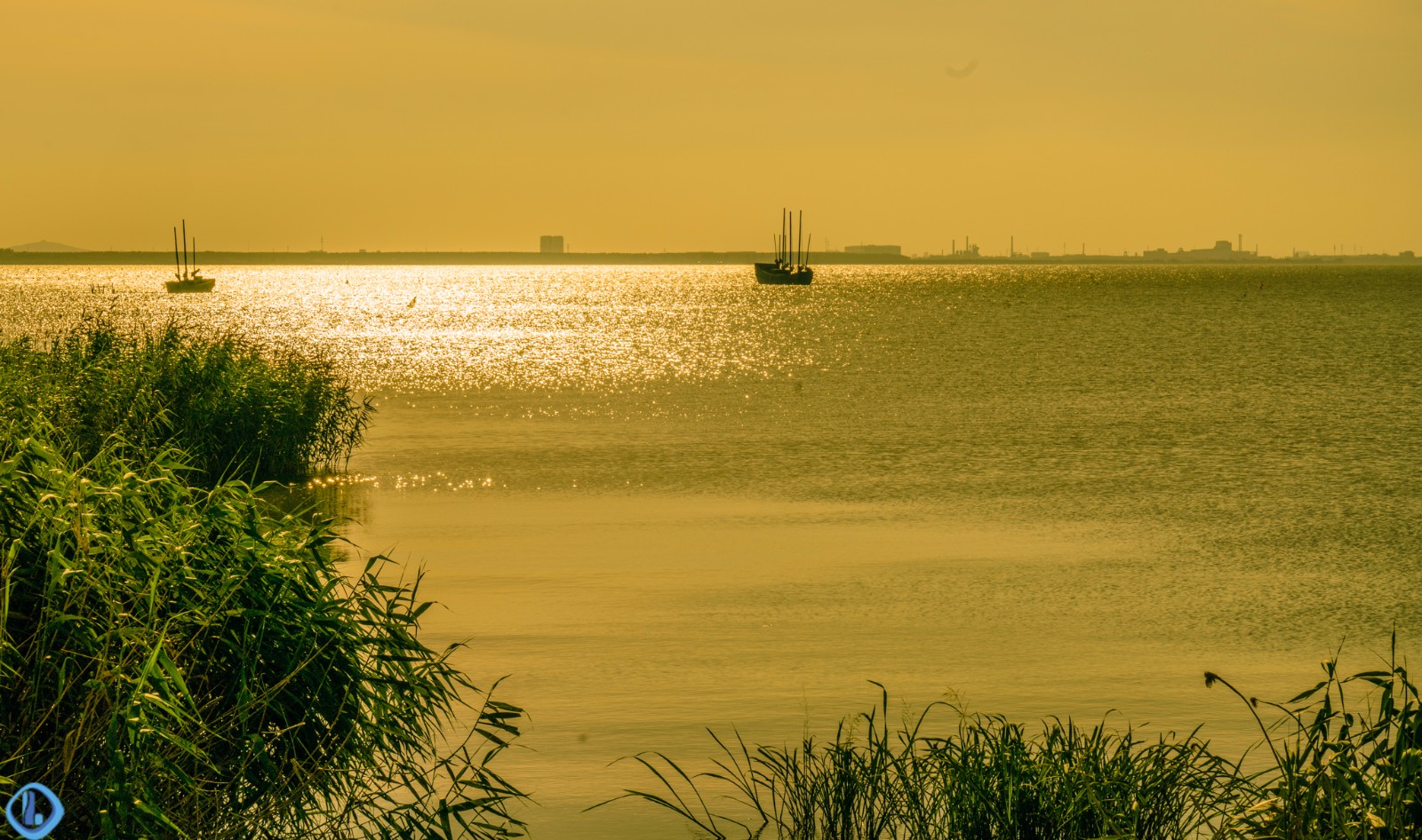 金光闪闪,夏日夕阳余晖下的无锡太湖