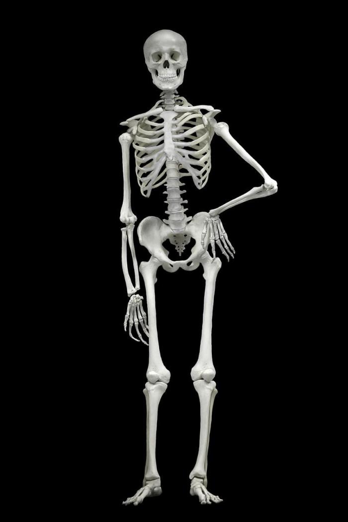 可以把一个人全身上下所有的骨头替换成钛合金吗?