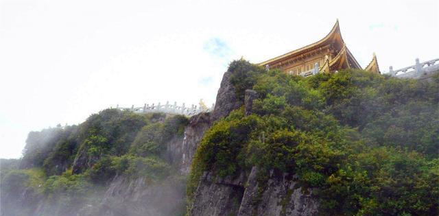 大家不用再等我"导游看到小伙短信立刻报警|舍身崖|峨眉山|小伙_新浪