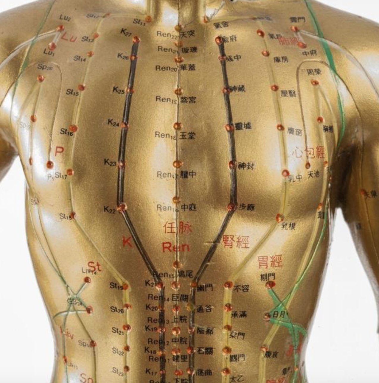 答案就是中医所说的"冲脉不通".