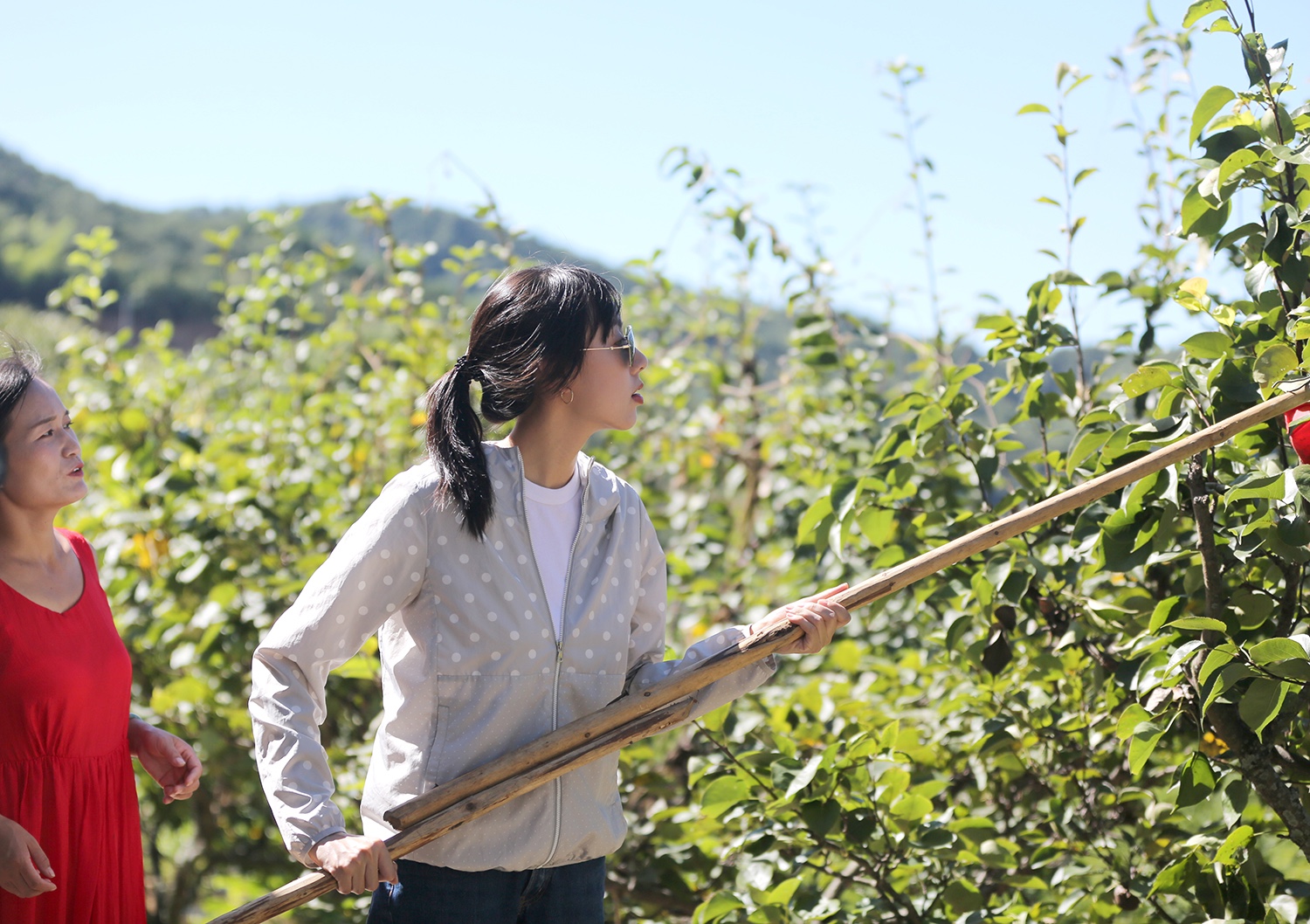 孙嘉灵变身江西小厨娘 搭档乔杉狂飙东北话