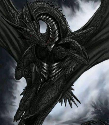 喜欢四处走走,放飞身心,射手座可以召唤的神龙,黑色的全身,连眼睛也看