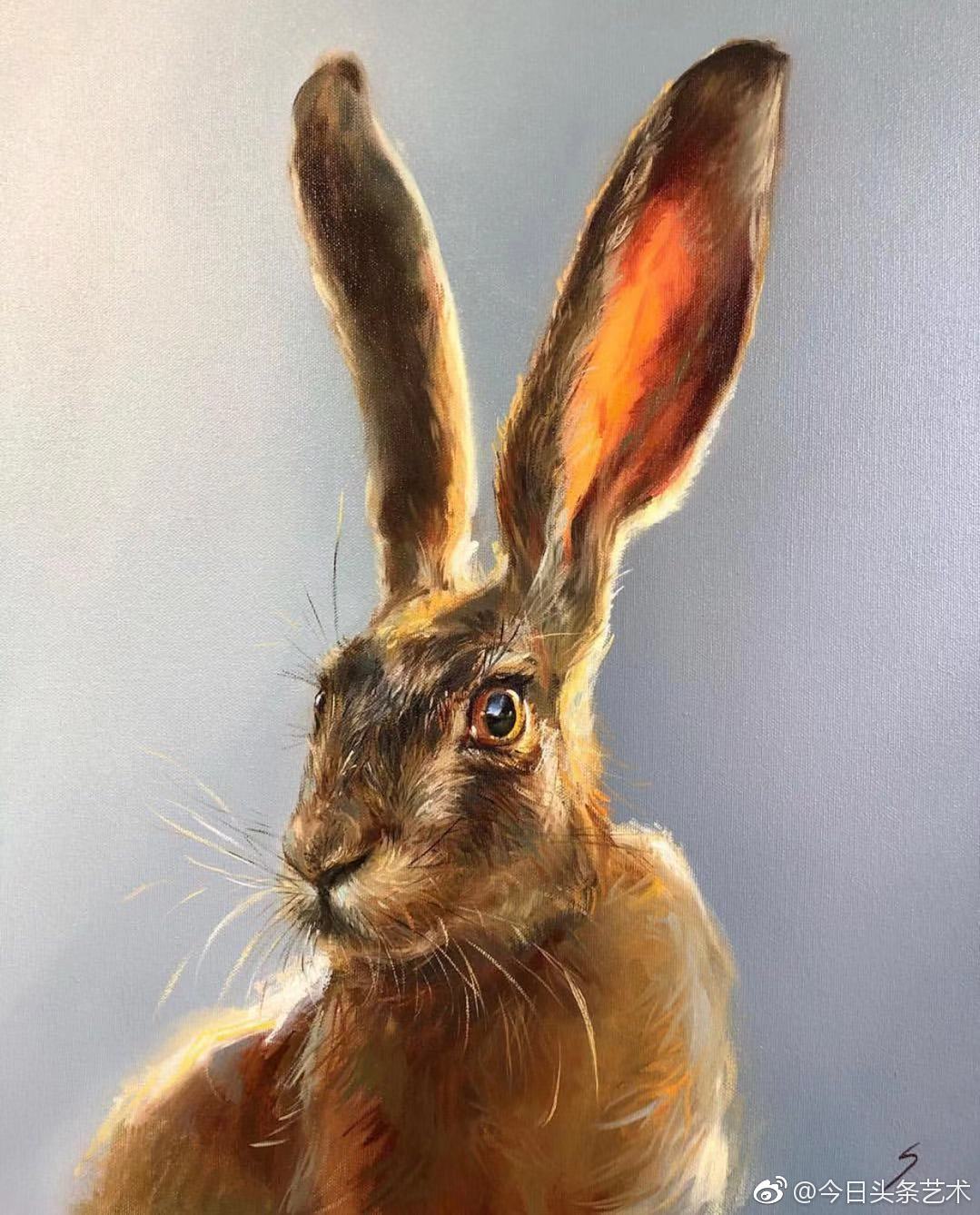 野生动物画家sauleseja小动物油画作品
