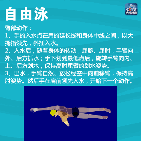 九张图教你学会四种泳姿