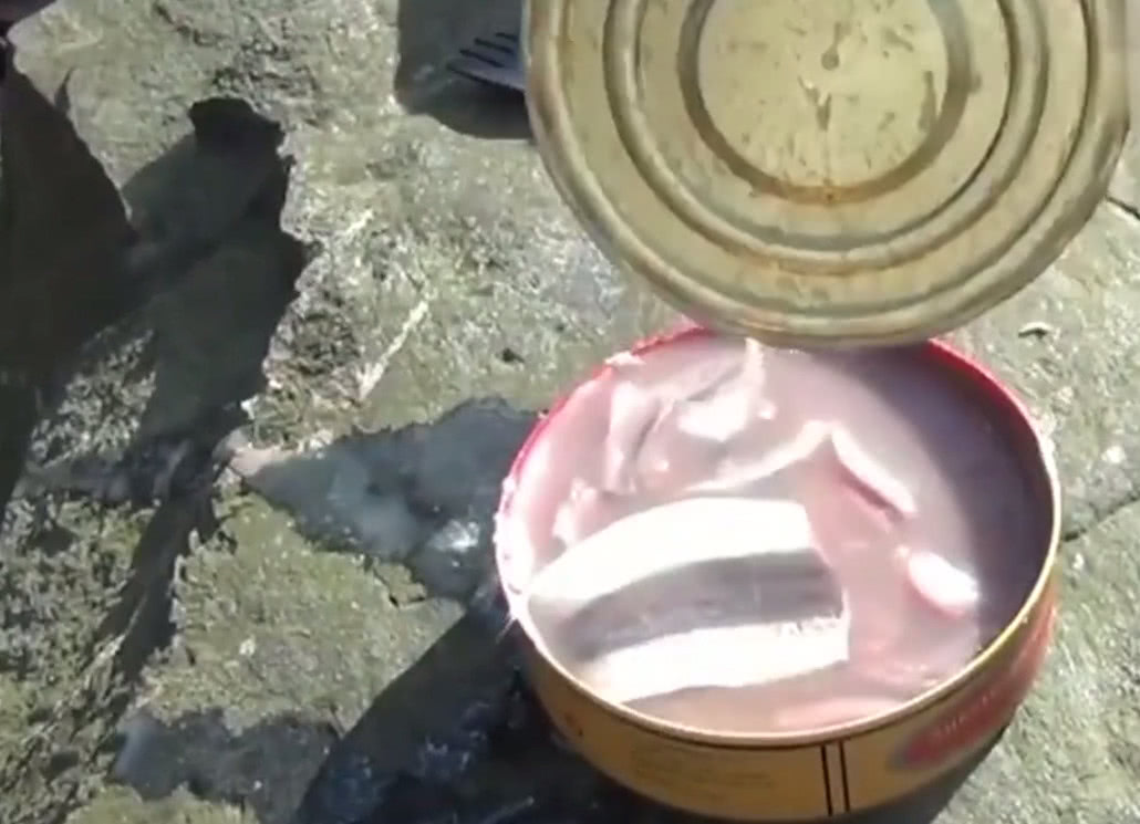 世界上最臭的鱼罐头