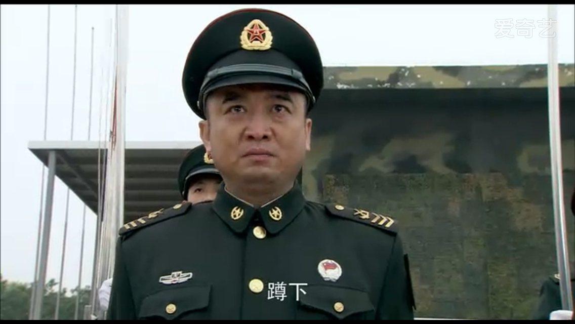 洪卫国家二级演员