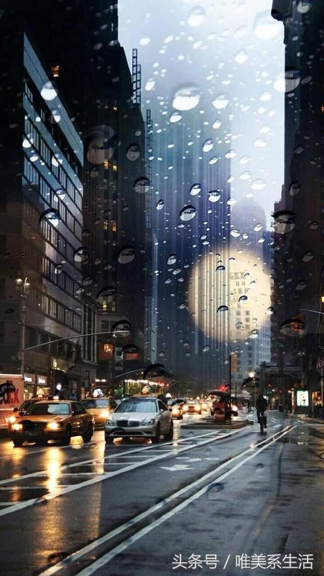 青苔角的触碰雨帘乌镇的雨景街景悠长又寂寥的雨巷