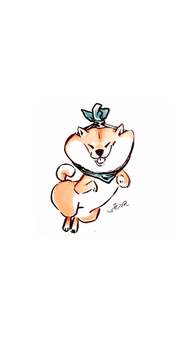 宠物界的表情包扛把子柴犬