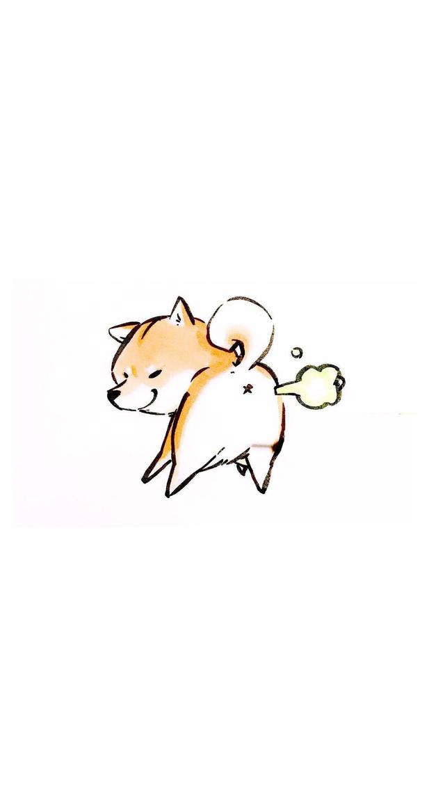 宠物界的表情包扛把子柴犬