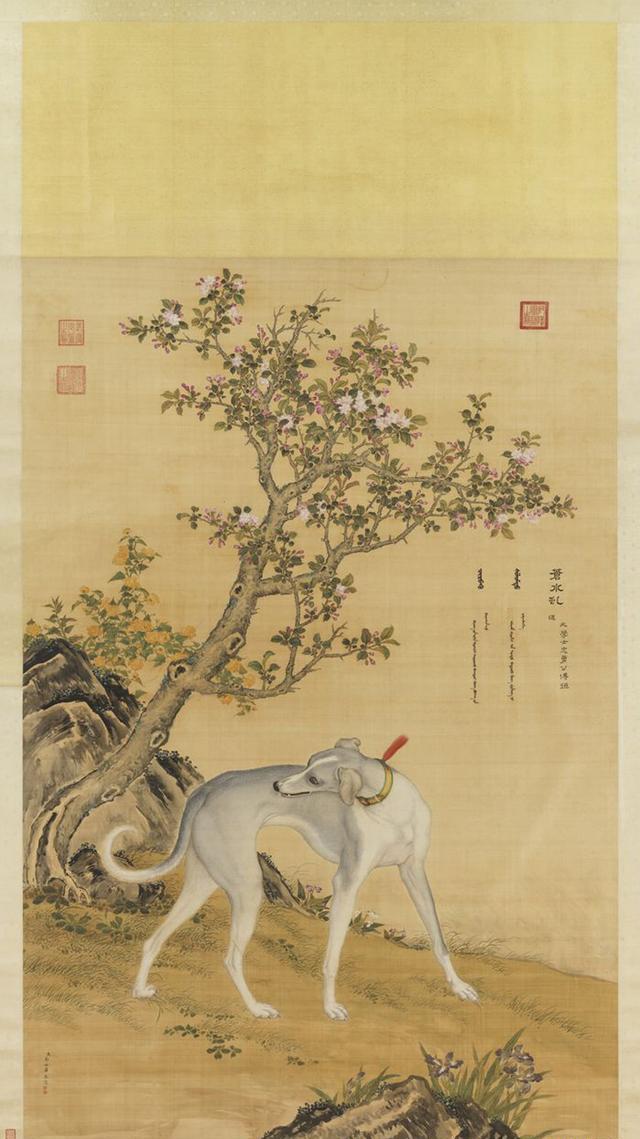 新年狗来运转看十全十美十骏犬乾隆皇帝最喜欢的狗