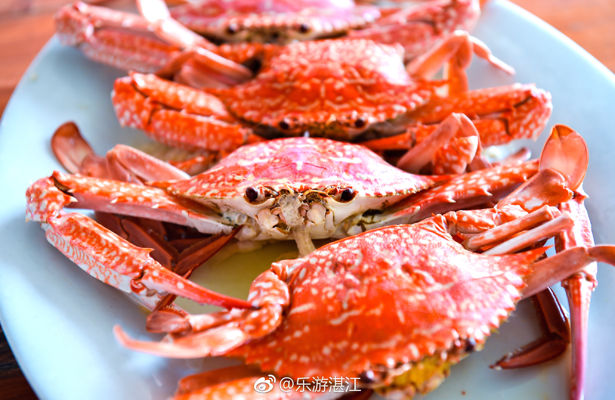 开学第一天必须吃海鲜