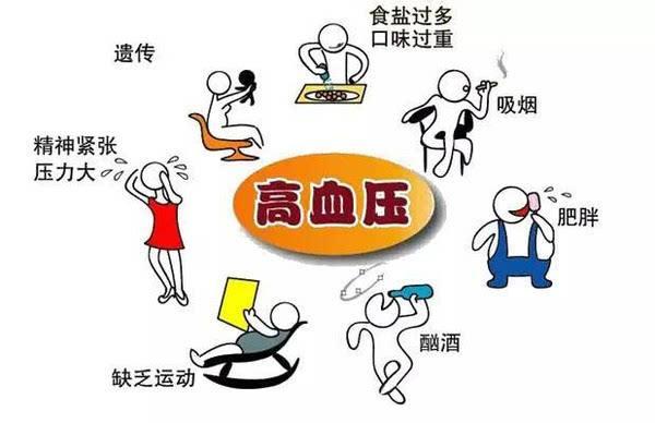 血管平滑肌细胞内钙增多,平滑肌收缩,外周阻力加大,血压升高.