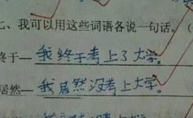小学生奇葩造句,老师一脸尴尬,网友:你爸爸一定是个社会人!|造句|老师|爸爸_新浪新闻
