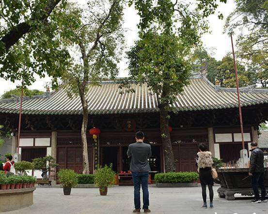 中国最牛的菩提树收藏在广州的一座寺庙里|菩提树|寺庙_新浪新闻
