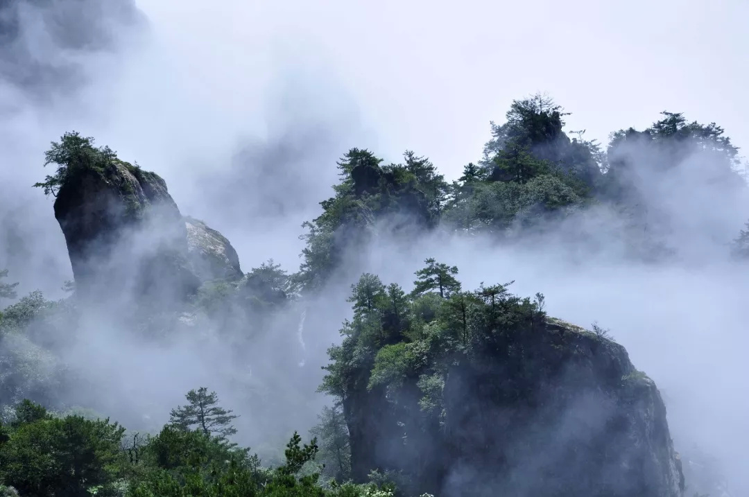太虚仙境极品珍肴老君山万人太极养生宴安排上了