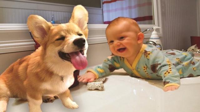 宝宝和狗狗一起玩耍,没想到狗狗的举动,把宝宝逗的这么开心!