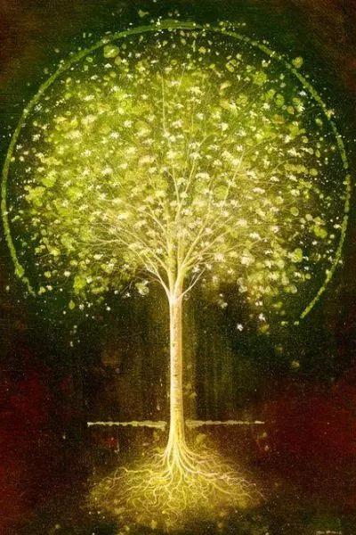 心理学:4棵发光树,你喜欢哪棵?测你身上最大的发光点是什么