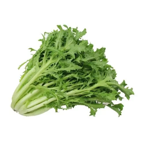 3,苦菊能预防癌症苦菊是一种可以预防癌症的绿色菜品,它加清水煎制