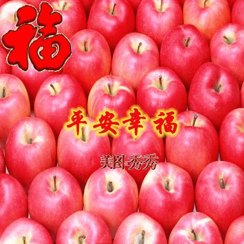 500_500gif 动态图 动图