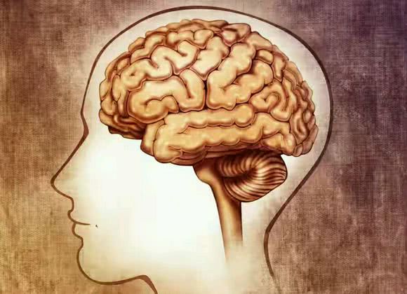 人类大脑最大的作用,就是让人活着?快看答案就在这里