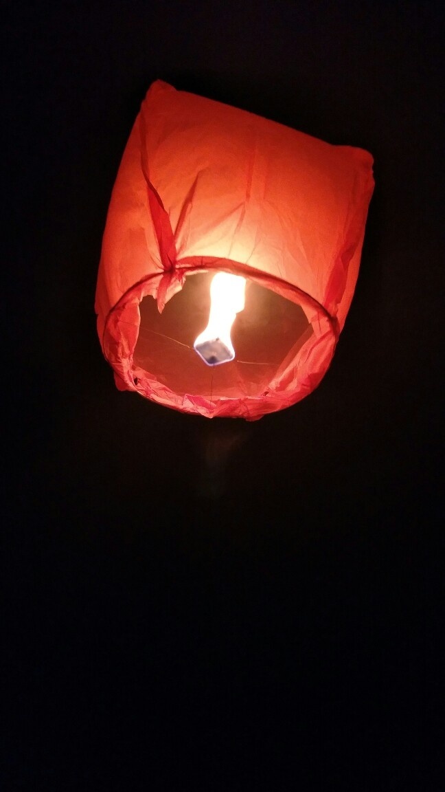 月沉碧海望重楼谁放明灯惹梦游