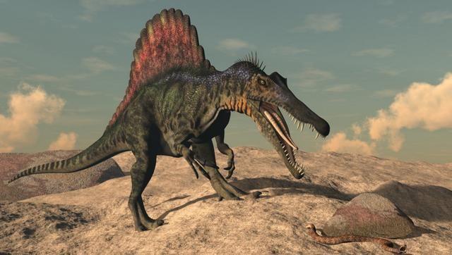 史前世界中有两大非常知名的恐龙