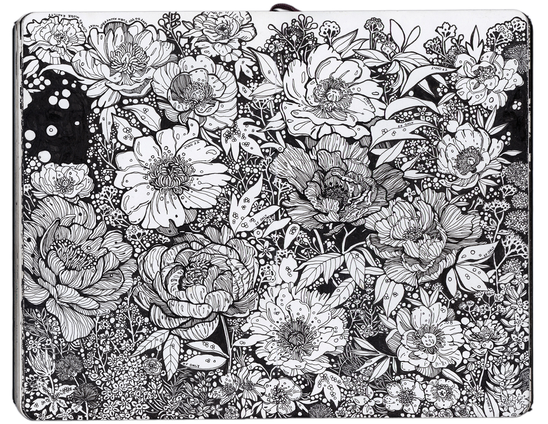 sketchbook2017插画手绘手账jennifertalkachov作品