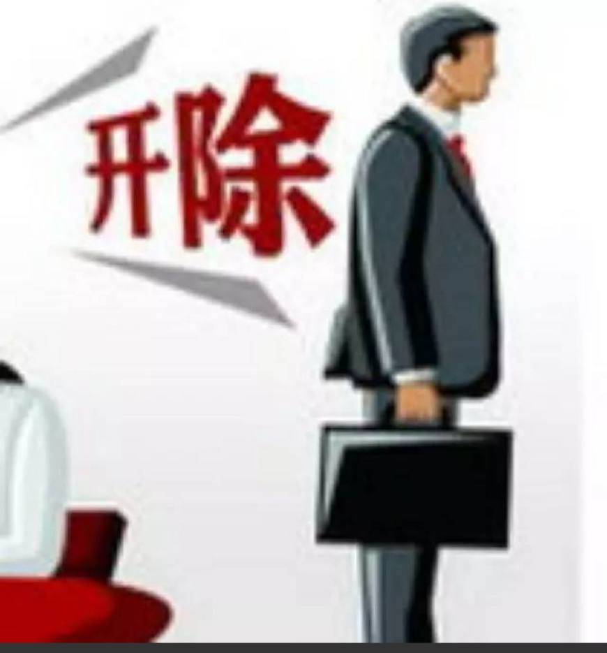 合肥教师有偿补课被开除,评论区一片欢呼