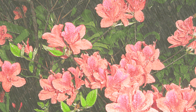 640_366gif 动态图 动图