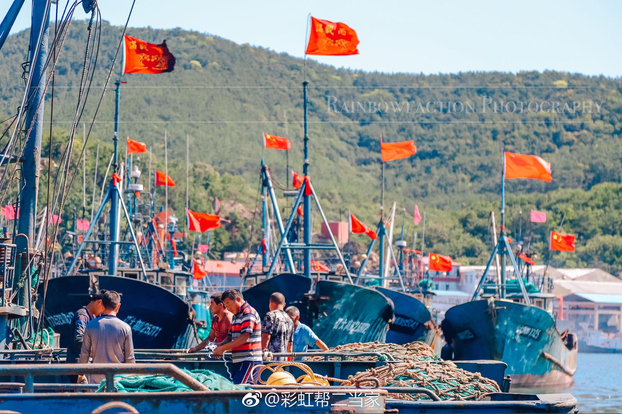 作为一名海鲜狂热爱好者,怎么可能错过9月1日刚刚到来的开海季呢!