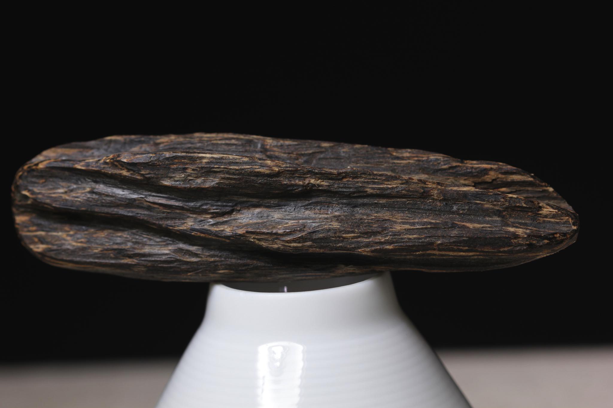 极品沉香需要具备哪些条件?