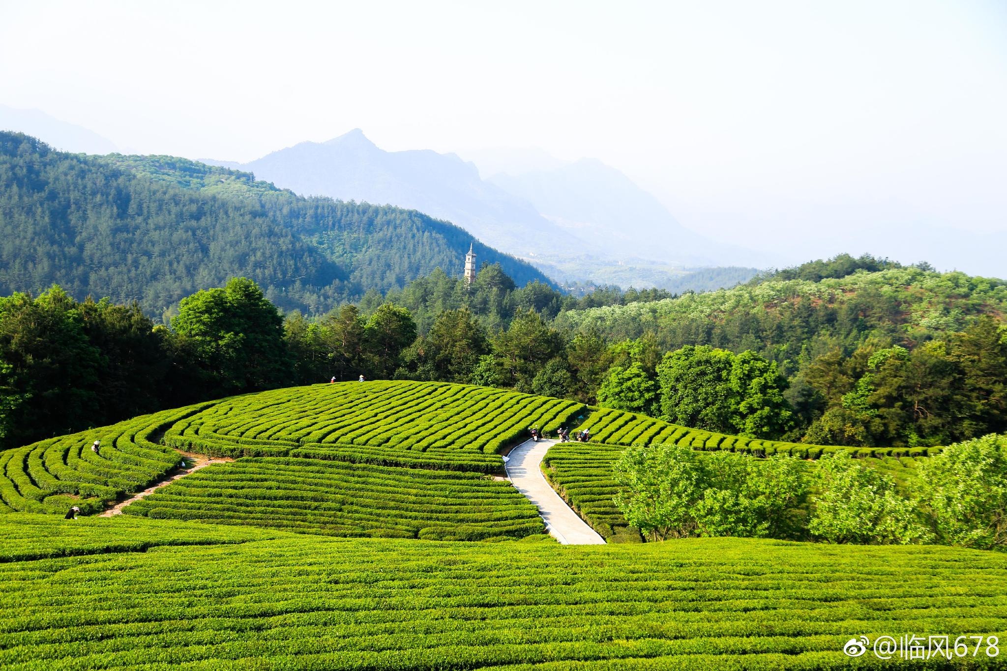 遂昌诗里湖山,隐藏在山林的小木屋
