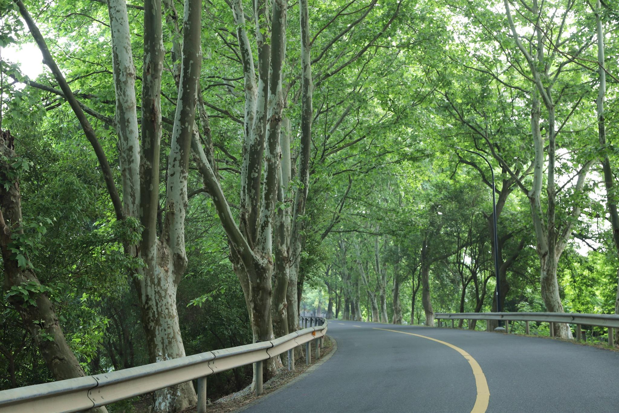 不过回到80多年前,唯一的一条道路则是老沪杭公路.