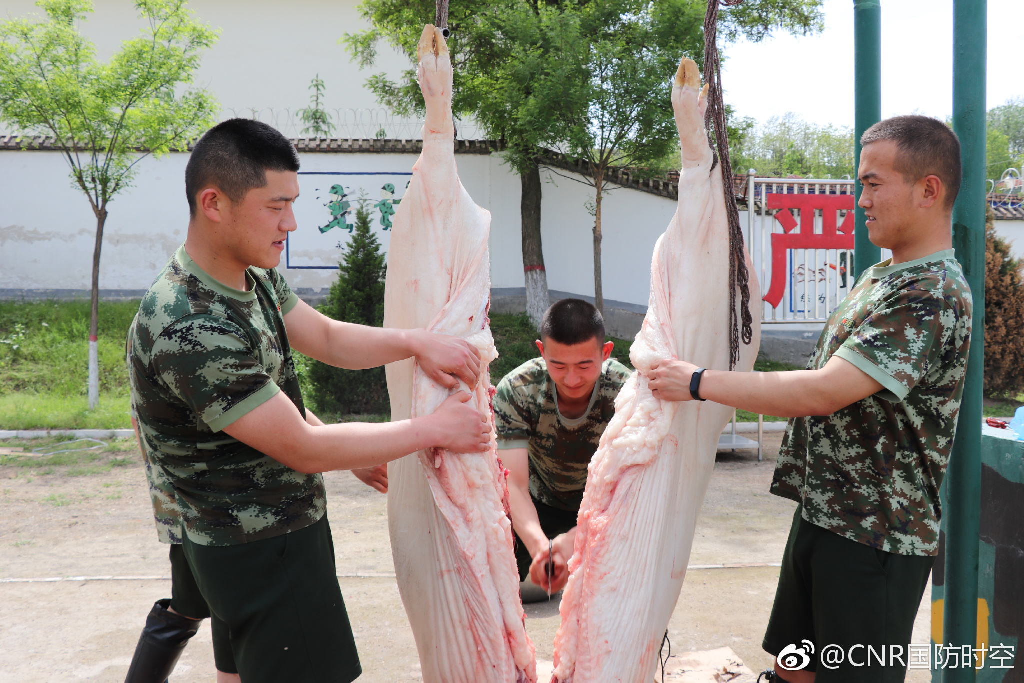 厉害森警兵哥哥亲手杀猪为比武练兵调剂膳食