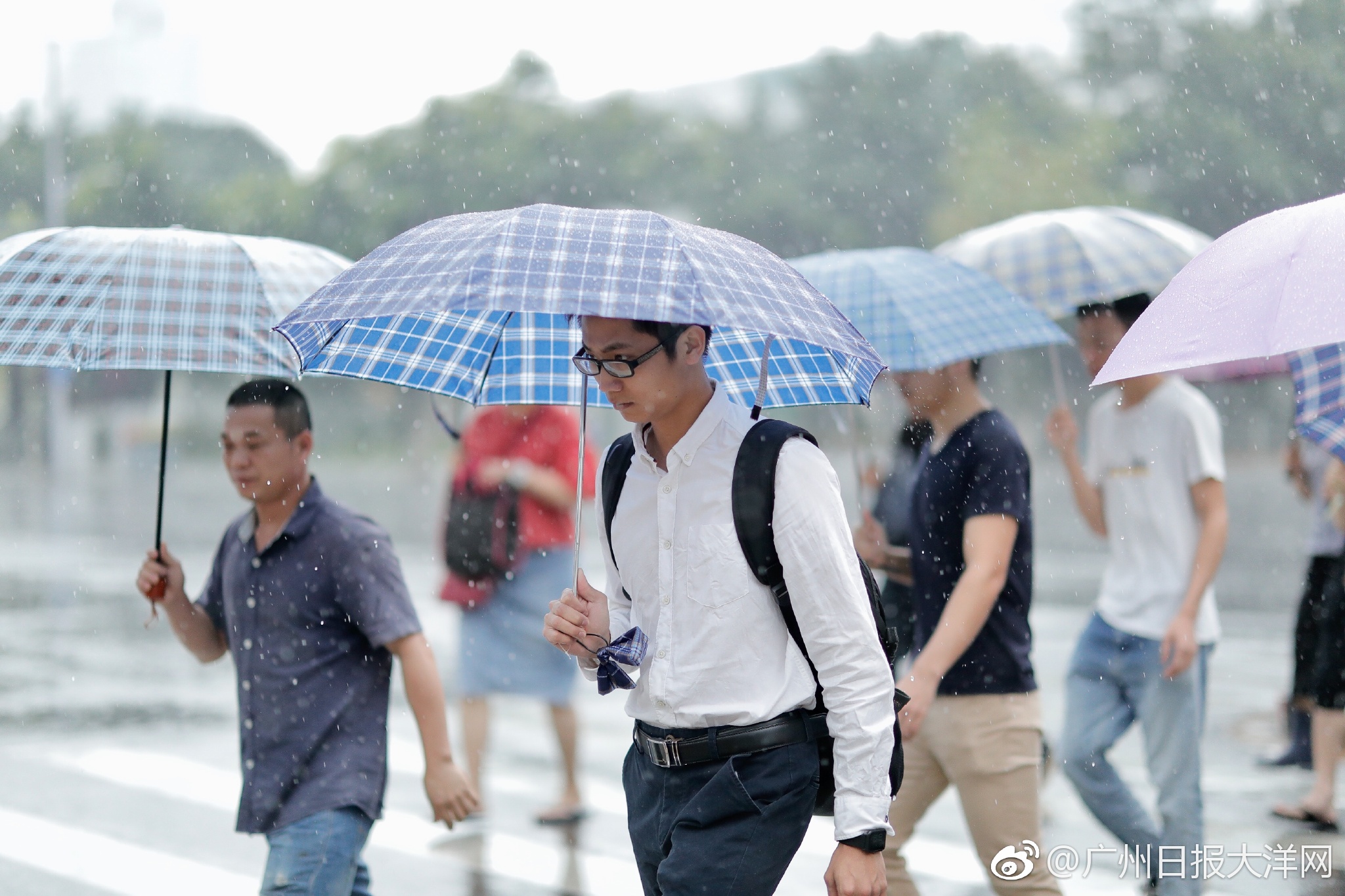 冒着风雨上班/上学去|上学|上班|石牌桥_新浪新闻