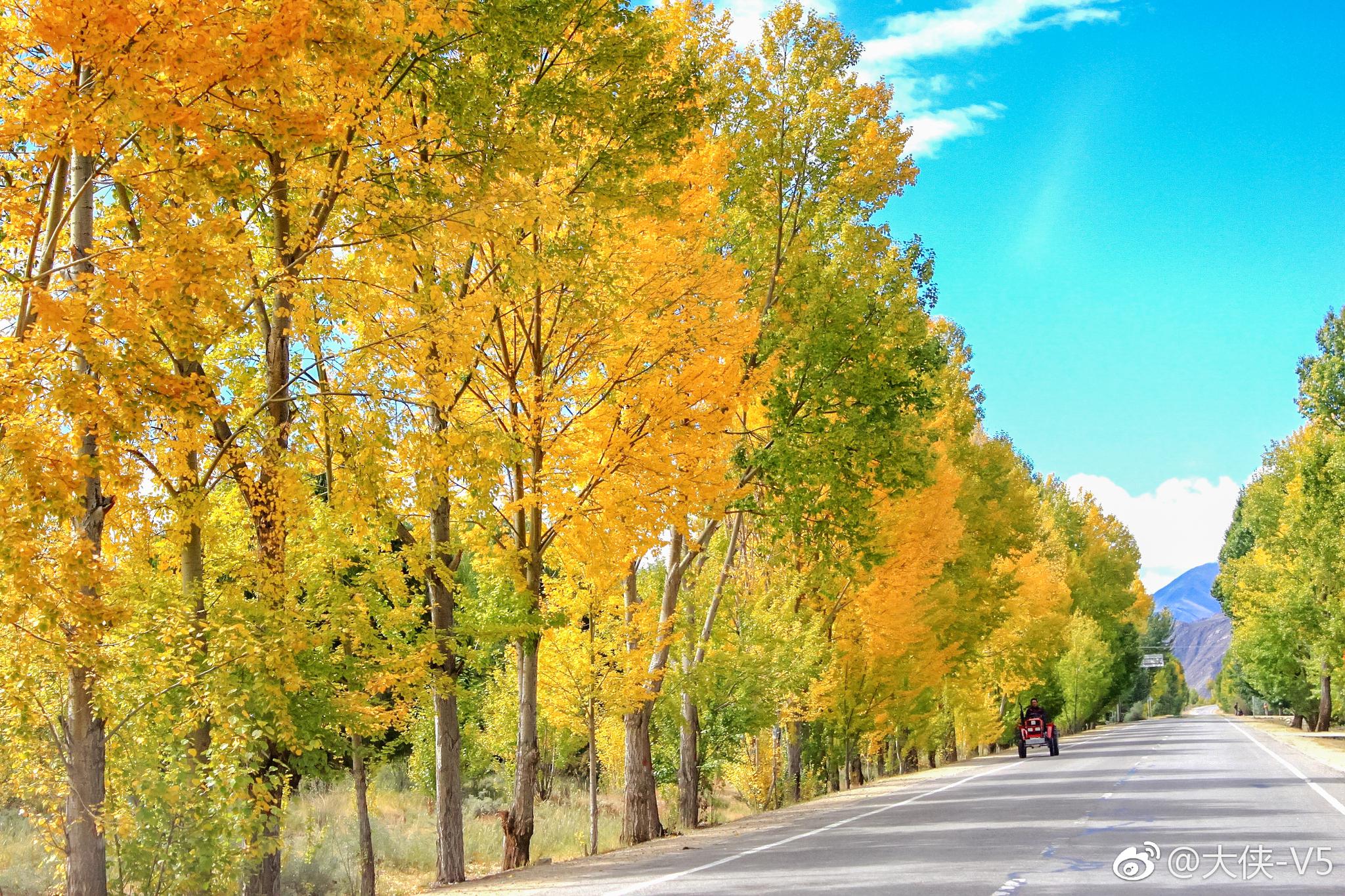 在西藏,路上的风景总是最迷人!_新浪看点