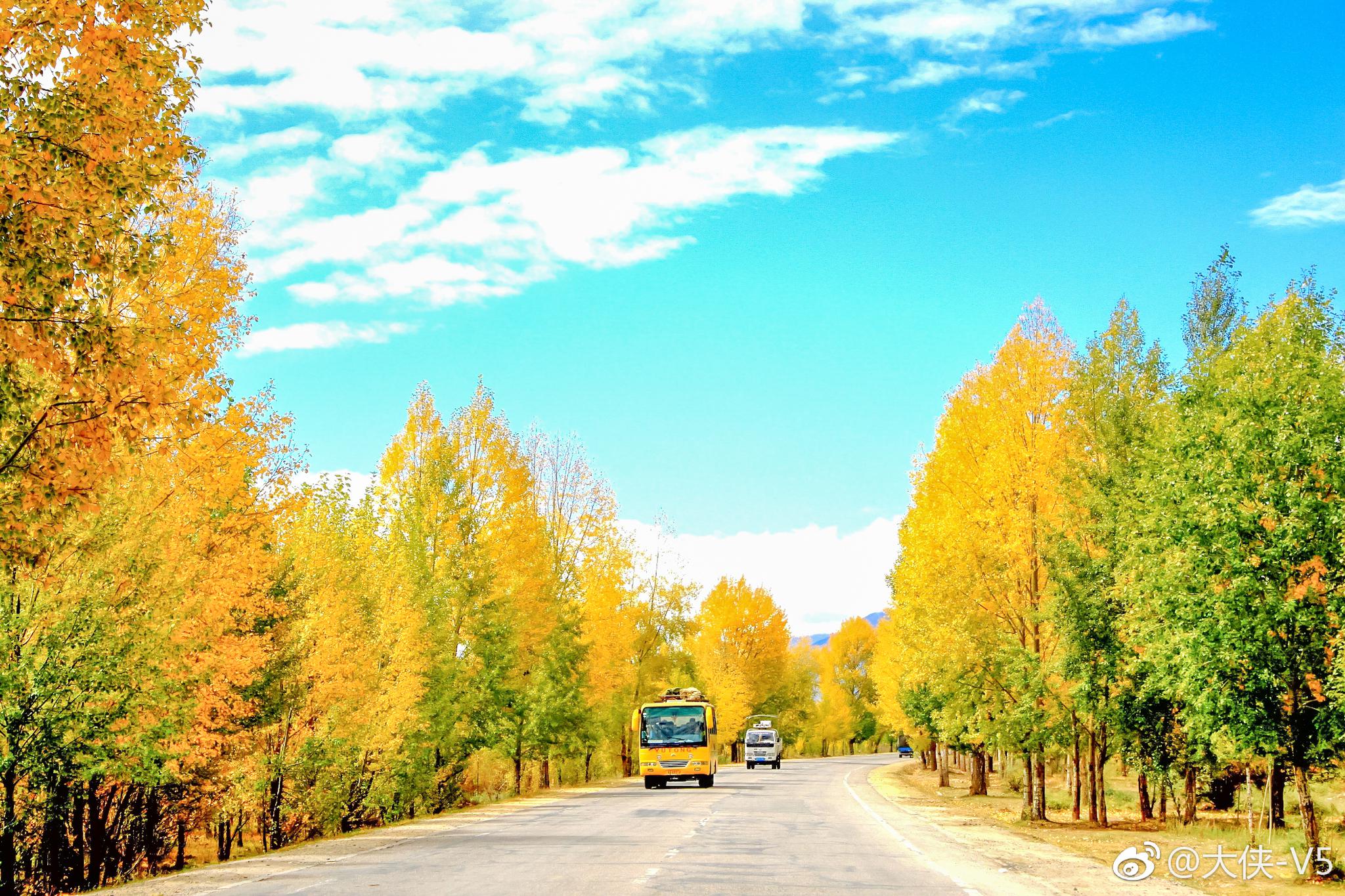 在西藏,路上的风景总是最迷人!_新浪看点