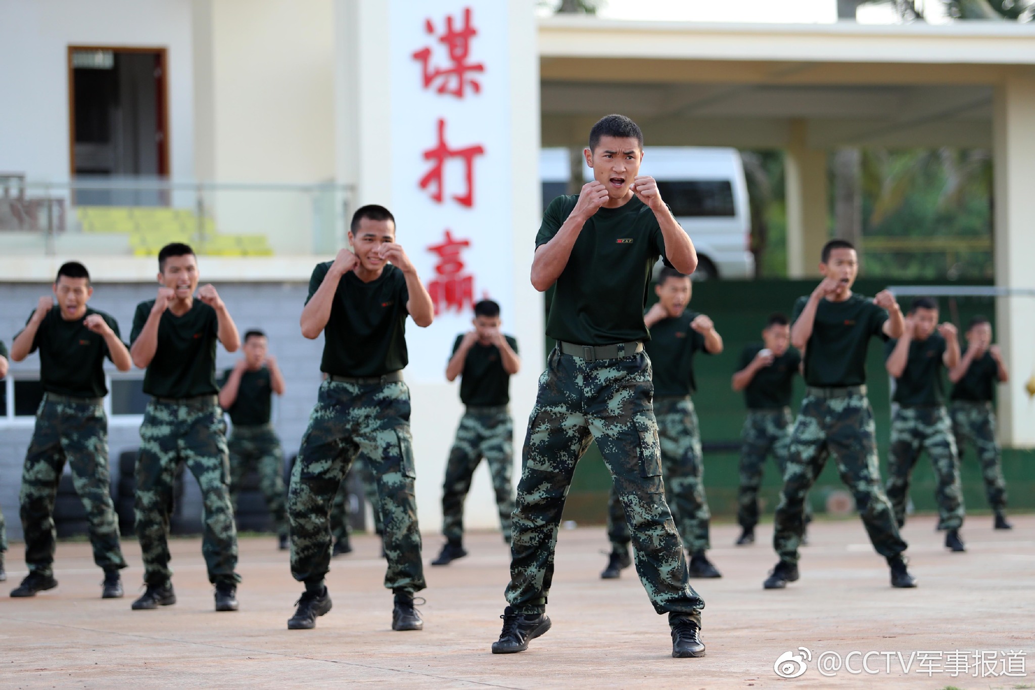 拳拳到肉 "战"味十足 武警海南省总队组织搏击教练员集训