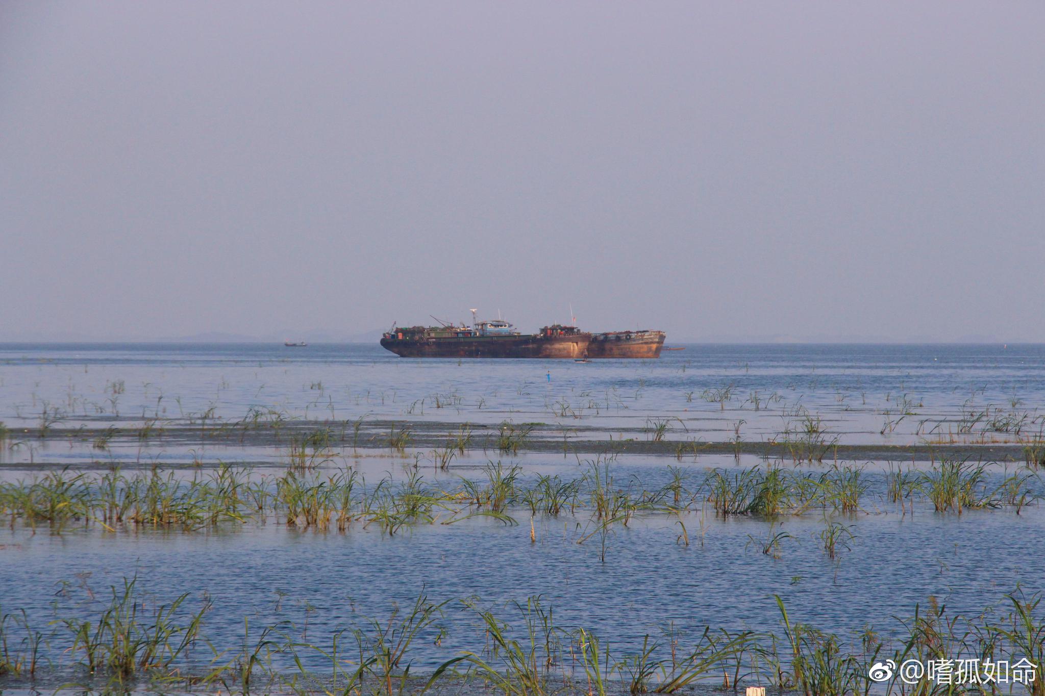 男人说你好骚我好喜欢瞬间引爆舆论，网友愤怒质问为何如此低俗，专家呼吁提升网络素养，平台回应将加强监管力度。