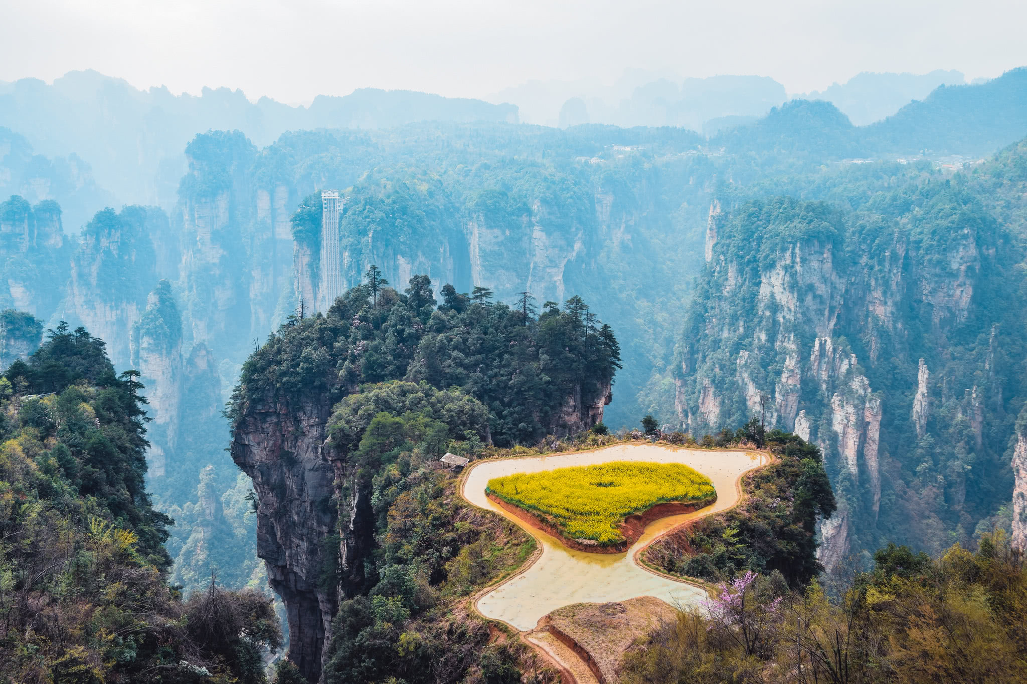 中国最懂赚钱的旅游城市,年入623亿元,把旅游开发成极致|张家界|游客
