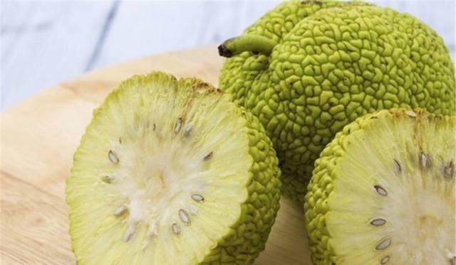 小伙路边发现网球状的果子, 正想捡起时, 朋友却劝他扔掉