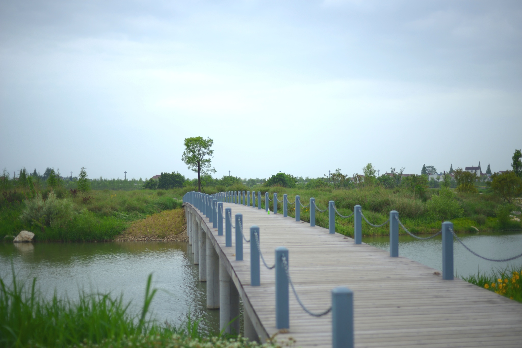 汉江濂水河畔湿地公园图片