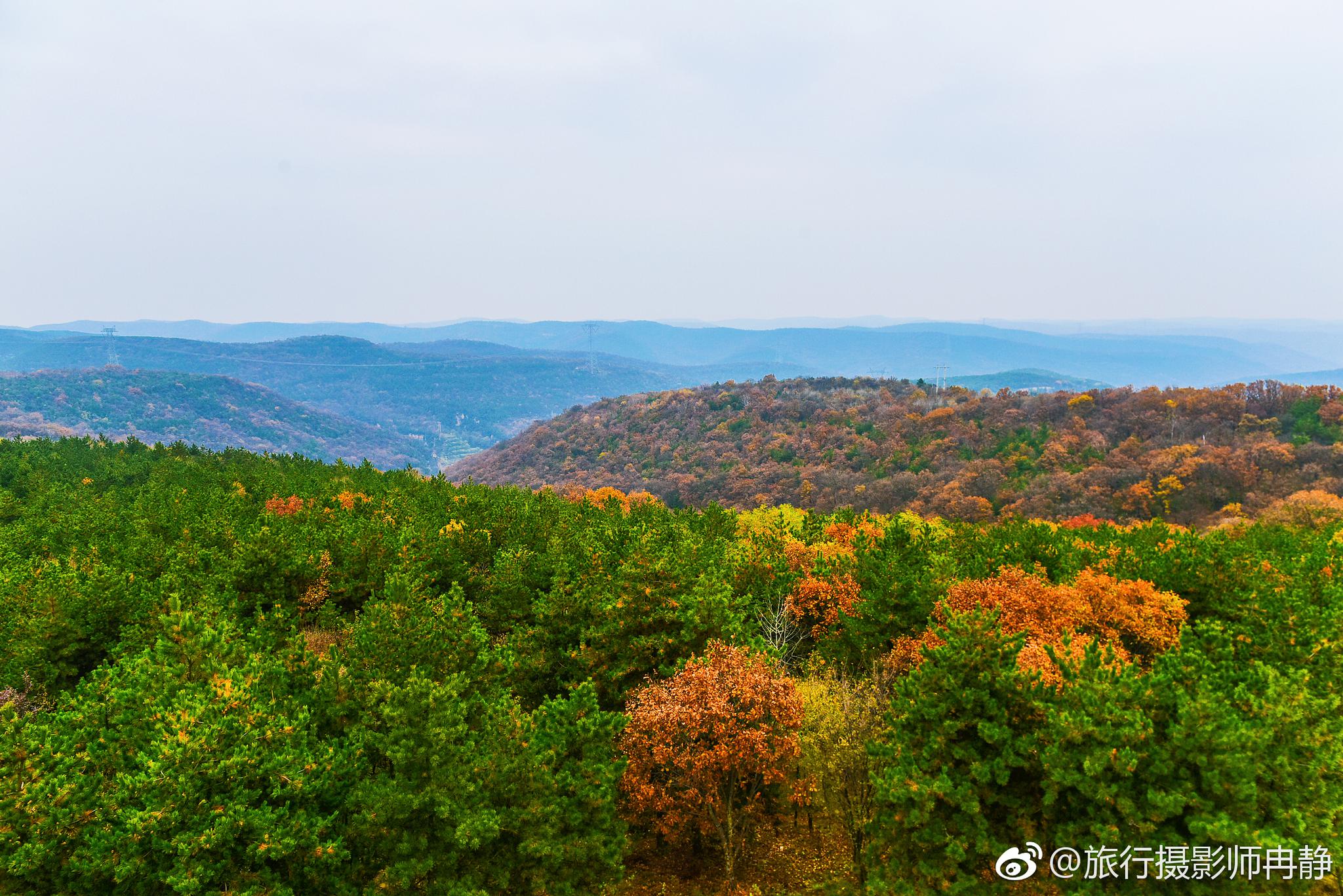 养生福地-大美合水去涧水坡子午岭感受高原林海好风光在红土林景区