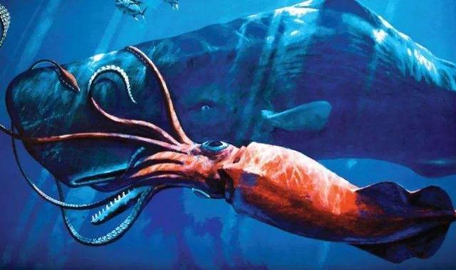 从海洋到海洋