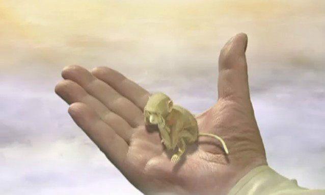 看他杀死六个贼人后,心中便有了答案|灵山|悟空|贼人_新浪网