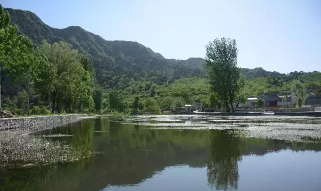 btv爱上京郊最美胜地四渡河村