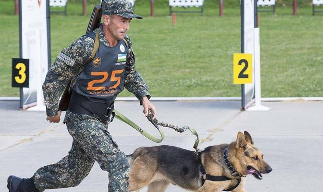 俄罗斯军犬大赛,有的狗长得眉清目秀的,没想到内心都是冷血战士