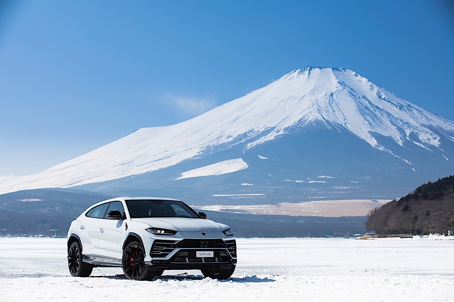 展车能不能打个一折卖给我陆地最强suv,兰博基尼urus兰博基尼野牛urus