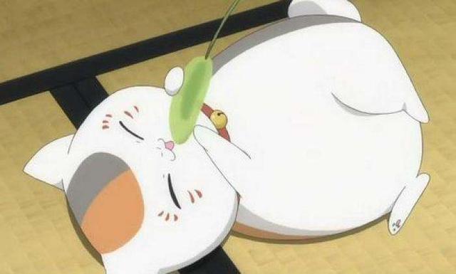 吸猫 l 盘点动漫里那些可爱的猫咪